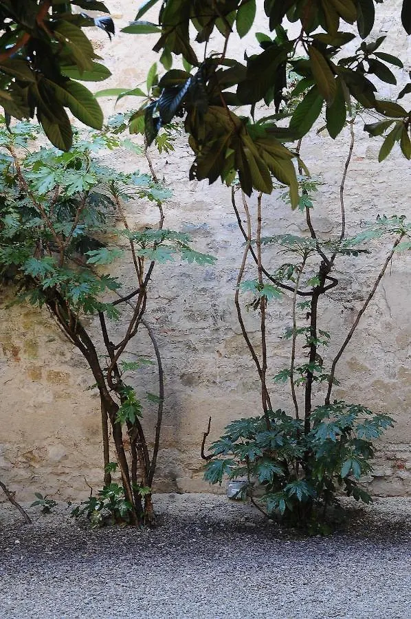 Residenza Branca Della Ripa Daire Floransa İtalya